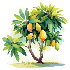Monkey Pod Tree with Fruit – Elegant Watercolor Vector Illustration for Art & Design    © mehdi