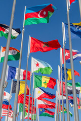 Many world's countries national flags waving on the wind, with Azerbaijani, Morrocan, Djibouti and Senegal, Philippine, French, Indian  banners in the foreground, Doha, Qatar