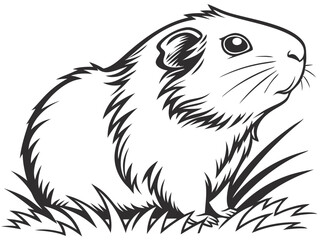Obraz premium Black outline of guinea pig, monochrome vector illustration. 