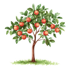 Nectarine Tree with Fruit – Watercolor Illustration, Vibrant Orchard Scene, Lush Green Foliage with Ripe Nectarines, Botanical Digital Painting  
