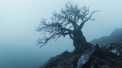 Obraz premium Solitary Tree on Misty Mountaintop