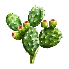 Prickly Pear Cactus with Fruit | Artistic Watercolor Flat Vector Design.  
