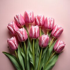 Fototapeta premium A bouquet of pink tulips, symbolizing love and elegance