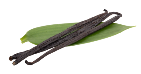 best quality vanilla on leaves stack on  transparent png