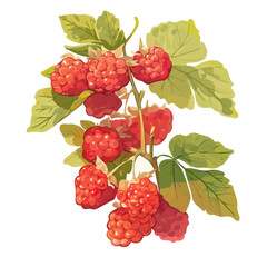 Raspberry Bush with Fruit – Artistic Watercolor Illustration, Botanical Fruit Bush Painting, Lush Nature-Inspired Artwork, Hand-Painted Berry Plant Design, Vibrant Watercolor Botanical Scene
