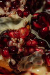 inside of pomegranate fruit with membrane and white and red arils