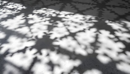 Abstract Leaf Shadows on a Light Gray Surface