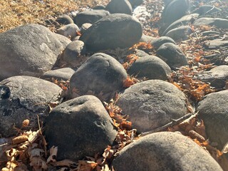 Rocks on a pathway 