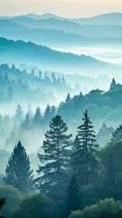 Foggy forest gradient wallpaper.