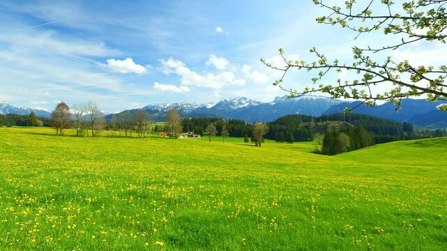 Bavaria&rsquo;s Spring Meadows Stretch Across Rolling Hills, With Lush Green Grass and Colorful Wildflowers Painting a Picture of Tranquility and Nature&rsquo;s Awakening
