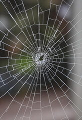 Fototapeta premium Broken glass as spider web or as bullet hole in the door photography, black and white isolated background 