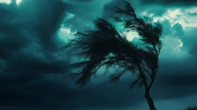 A solitary tree bends against strong winds under a dramatic, moody sky filled with dark, stormy clouds and thunderbolt. 4k video footage.
