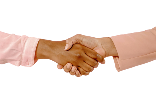 Shaking hands with a woman. beauty and female empowerment business concept. Empty space for copy