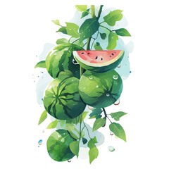 Watermelon Vine with Fruit – Watercolor Illustration, Botanical Art, Fruit-bearing Vine Painting, Nature-inspired Artwork, Vibrant Watercolor Vine with Fruits
