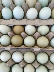 Farm-Fresh Blue and Brown Eggs Arranged in a Beautiful Pattern, Highlighting Natural Colors and Sustainable Living. Cool Background for Healthy Lifestyle and Diet. 