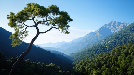 Obraz premium Majestic Mountain Landscape with Pine Tree