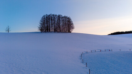 マイルドセブンの丘