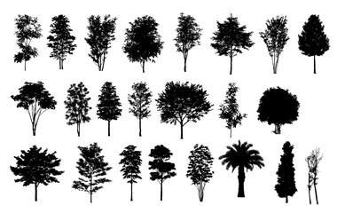 Tree Silhouettes: A collection of diverse tree silhouettes in a grayscale format, showcasing various shapes, sizes, and foliage patterns.