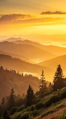 Obraz premium Yellow gradient sunrise landscape phone wallpaper.