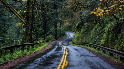 The road passes through a forest filled with lush trees.