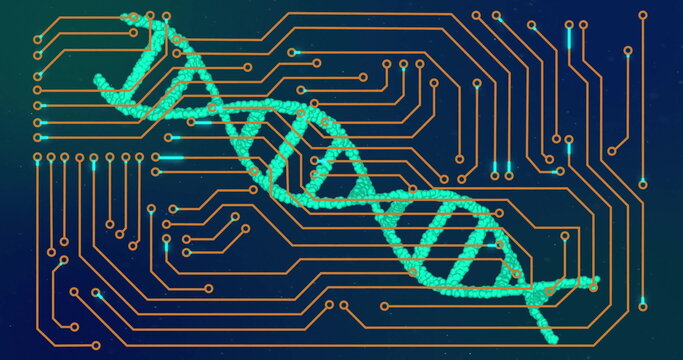Image of dna strand and data processing over circuit board