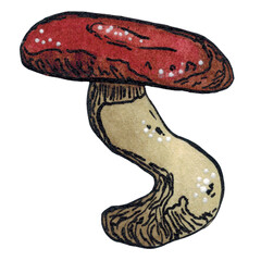 Russula mushroom with a dark red cap on a white background. Hand drawn watercolor illustration. Drawing for stickers, cards, posters. autumn, mushroom, forest, yellow, orange, nature