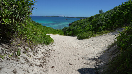 隠れ家ビーチへ向かう小道