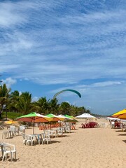beach with umbrellas and chairs