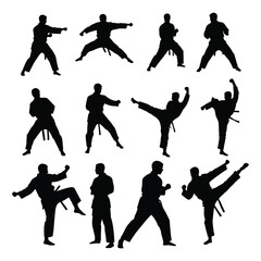Set of male Karate Silhouettes vector Illustration with white background
