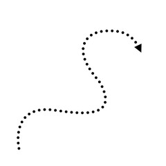 Arrow Dotted Line