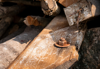 rusty bolts attached to scrap wood that will soon be thrown away