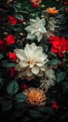 Stunning Floral Arrangement  Dahlias  Roses    Flowers