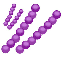 Streptococcus pneumoniae bacteria
