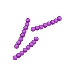 Streptococcus pneumoniae bacteria