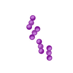 Streptococcus pneumoniae bacteria