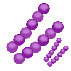 Streptococcus pneumoniae bacteria