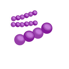 Streptococcus pneumoniae bacteria