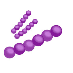 Streptococcus pneumoniae bacteria