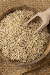 Raw brown rice Gluten free cereals. Health gut benefits. Concept of alternative whole spelt grain ingredient. Vegetarian diet recipes. Plant-based lifestyle. Copy space Protein rich eating 