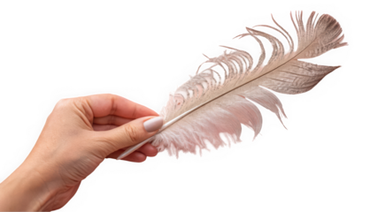A delicate hand holding a soft, light-colored feather, symbolizing grace and beauty.