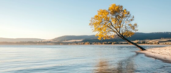 Serene Autumn Lake  Tree  Water  Golden Leaves  Peaceful Landscape