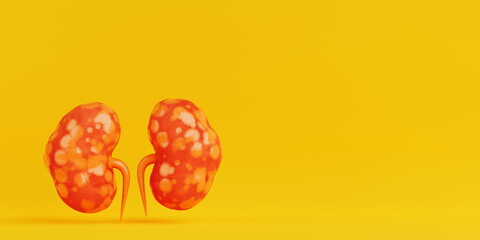 Abstract Human Kidneys Anatomy Structure. 3d Rendering