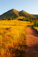 Trail, Bear Butte State Park, South Dakota