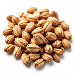 Obraz premium Shaggy pecan nuts, brown-striped, tan-colored, arranged in a pile, set against a white background
