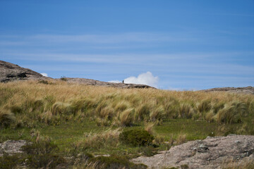 landscape with mountains and sky