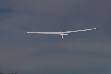 Gliding Through the Sky: A Majestic Glider in Flight