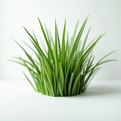 Fresh green grass, vibrant and lush