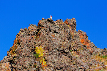 Views at Bear Butte State Park, South Dakota
