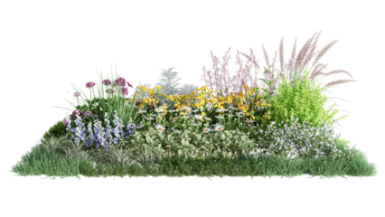 3d rendering illustration nature meadow bush on lawn grass field beautiful plant on isolate background landscape
