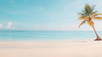panoramic view of Tranquil Tropical Beach with Palm Trees and Clear Blue Sky

